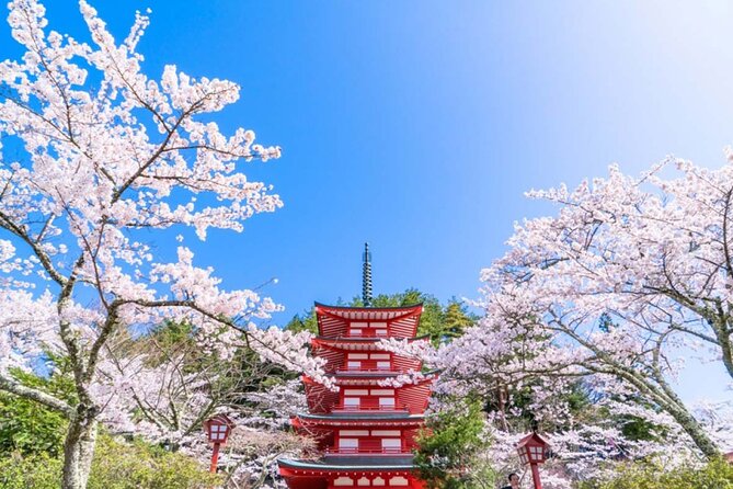 Mt. Fuji 5th, Oshino Hakkai, Onsen Full-Day Trip From Tokyo - Guides, Languages, and Group Size