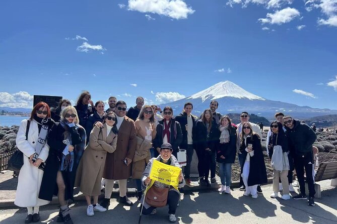 Mt. Fuji 5th, Oshino Hakkai, Onsen Full-Day Trip From Tokyo - Who Should Book This Fuji Day Trip?