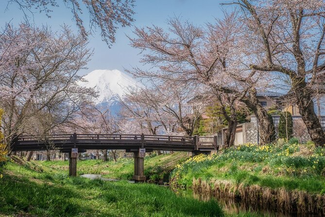 Mt. Fuji 5th Station, Oshino Hakkai and Hot Spring Day Trip - Three hours at Gotemba Premium Outlets