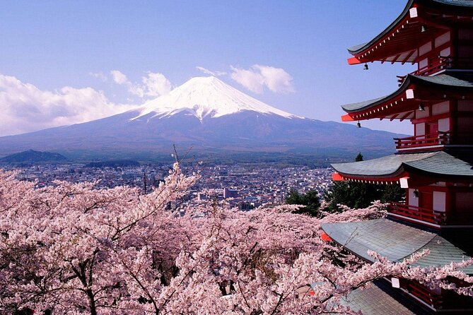 Mt. Fuji 5th Station, Oshino Hakkai and Hot Spring Day Trip - 7:30 am at Tokyo Station