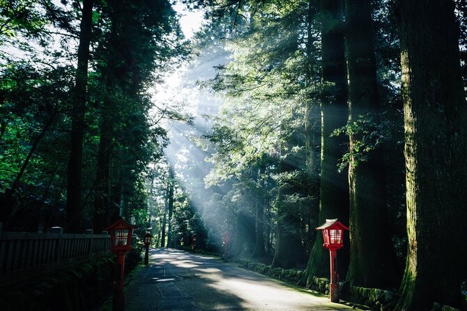 Mt. Fuji, Hakone Private Tour from Tokyo - Onsen, Arts and Nature - Amazake Chaya and the old Tokaido road