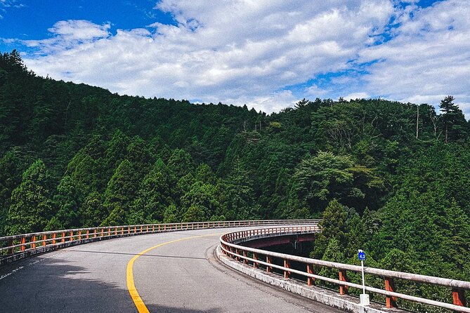 Mt. Fuji, Hakone Private Tour from Tokyo - Onsen, Arts and Nature - The onsen choice at Tenzan Tohji-kyo