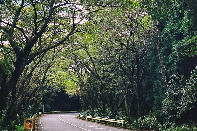 Mt. Fuji, Hakone Private Tour from Tokyo - Onsen, Arts and Nature - Open-Air Museum or Pola Museum after lunch