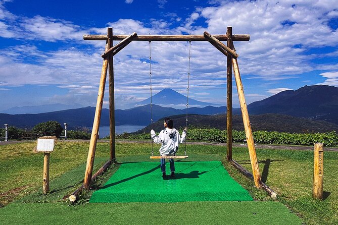 Mt. Fuji, Hakone Private Tour from Tokyo - Onsen, Arts and Nature - Lunch, timing, and the amount of driving