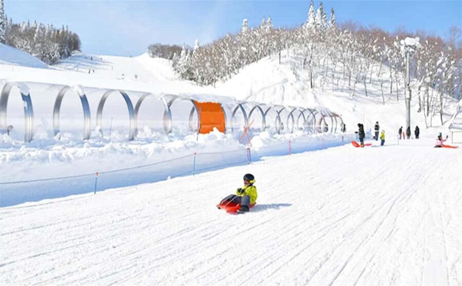 Mt. Fuji Skiing Experience- YETI Ski Resort & Onsen Day Trip - Who will enjoy this day most