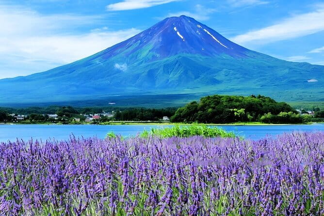 Mt Fuji Small Group 1 Day Tour Kawaguchi and Yamanaka with Pickup - Why this Fuji day trip works from Tokyo