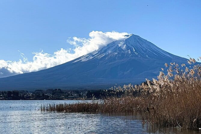 Mt Fuji Small Group 1 Day Tour Kawaguchi and Yamanaka with Pickup - Oshino Hakkai and its spring-fed ponds