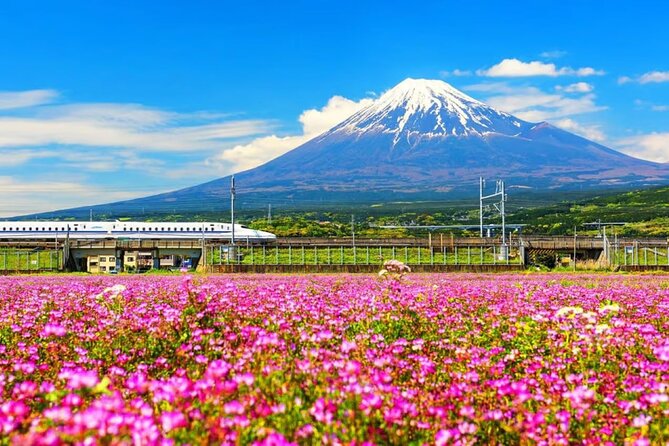 Mt. Fuji to Lake Kawaguchi, Lake Yamanaka and Onsen Day Tour - Key points to know before booking