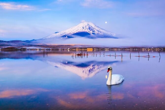 Mt. Fuji to Lake Kawaguchi, Lake Yamanaka and Onsen Day Tour - Why this Tokyo to Fuji day trip makes sense