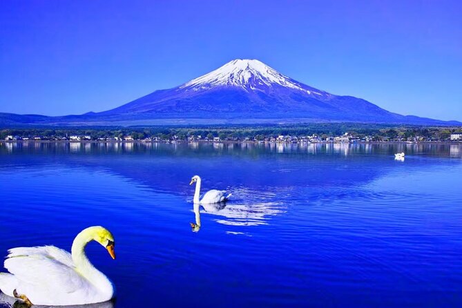 Mt. Fuji to Lake Kawaguchi, Lake Yamanaka and Onsen Day Tour - Lake Kawaguchi gives you the longest pause