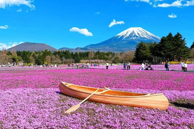 Mt. Fuji to Lake Kawaguchi, Lake Yamanaka and Onsen Day Tour - Oishi Park and seasonal color