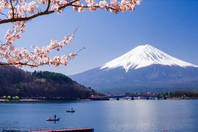 Mt. Fuji to Lake Kawaguchi, Lake Yamanaka and Onsen Day Tour - The Fuji Shibazakura Festival and Maple Corridor