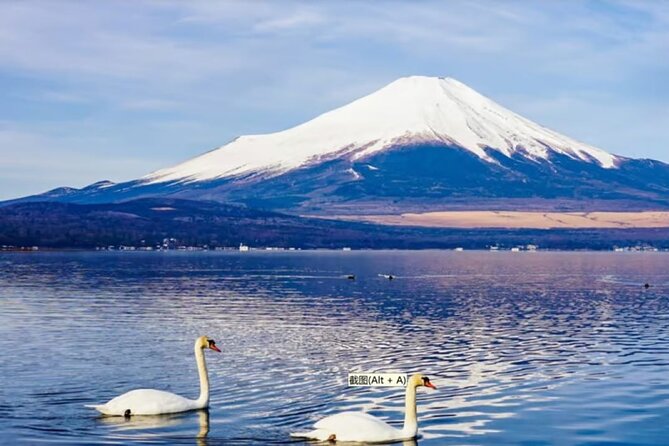 Mt. Fuji to Lake Kawaguchi, Lake Yamanaka and Onsen Day Tour - The Swan Lake pleasure boat is an extra