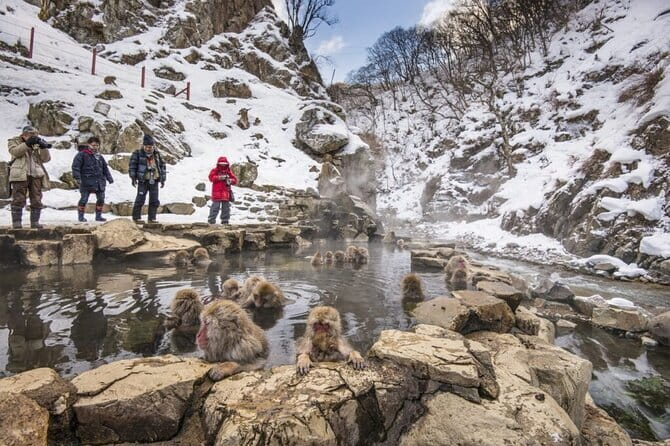 Mt. Fuji Tours to Lake Kawaguchi and Yamanaka Onsen English Guide - The guides can make a large group easier