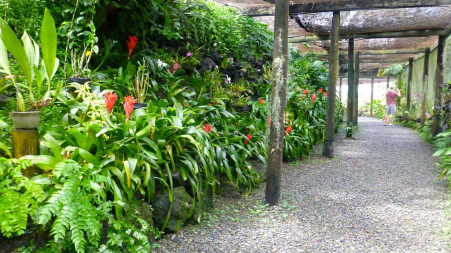 Nadi: Garden Village Hot Spring & Temple Highlights Tour - Nadi and Namaka markets: short, useful, and local