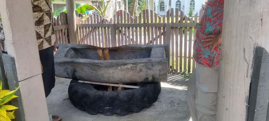Nadi: Garden Village Hot Spring & Temple Highlights Tour - Viseisei Village and the school visit