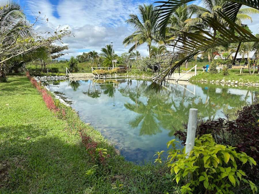 Nadi: Mud Pool and Hot Spring Private Tour - Getting Into the Sabeto Mud Pool