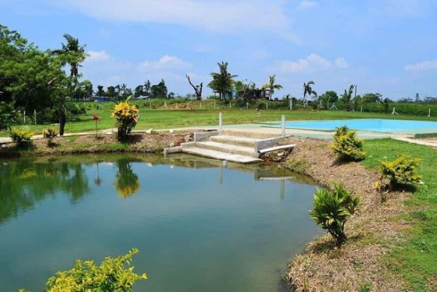 Nadi: Mud Pool and Hot Spring Private Tour - Washing Off in the Warm Hot Springs