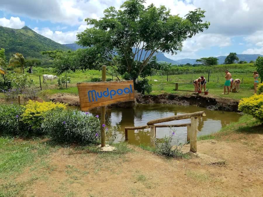 Nadi: Mud Pool and Hot Spring Private Tour - Who Will Enjoy This Tour Most