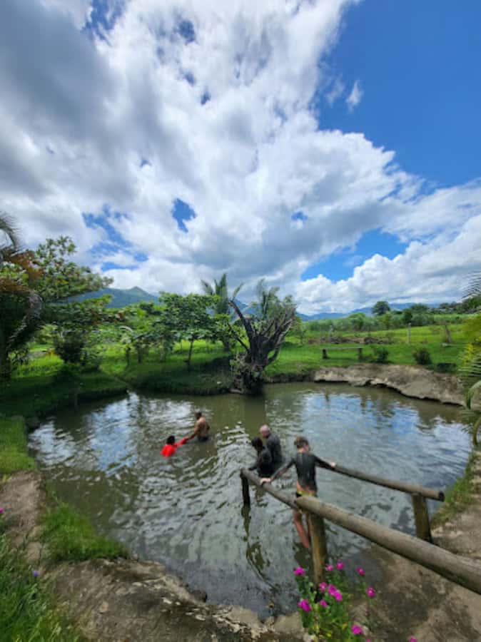 Nadi: Mud Pool and Hot Spring Private Tour - Small Details That Make the Day Easier