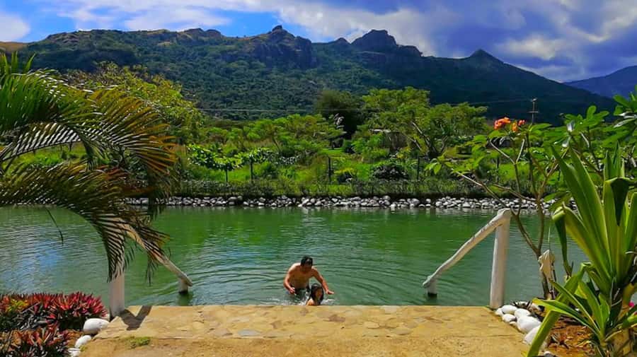 Nadi: Mud Pool and Hot Spring Private Tour - The Drive to Sleeping Giant Mountain
