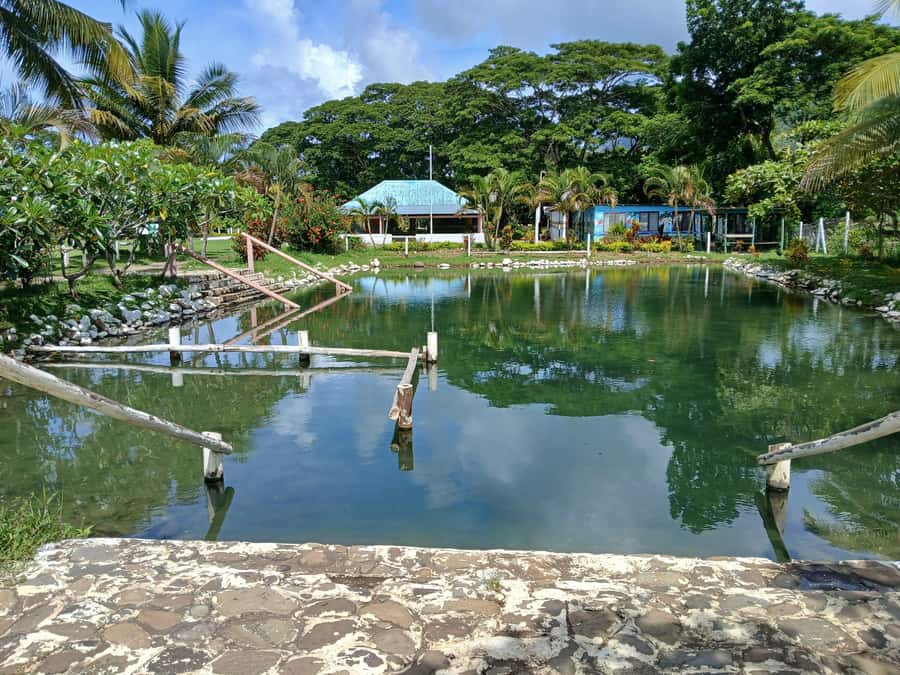 NADI-SABETO: Tifajek Hot Spring and Mudpool Natural Spa - The Story Behind Tifajek Hot Springs