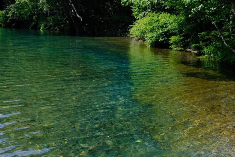 Nagano UNESCO Park: Emerald Acid Lake & Ghibli Onsen Town - A Three-Hour Walk With Room to Breathe