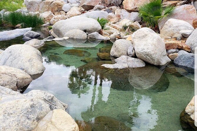 Natural Hot Springs Experience - Who should book this experience?