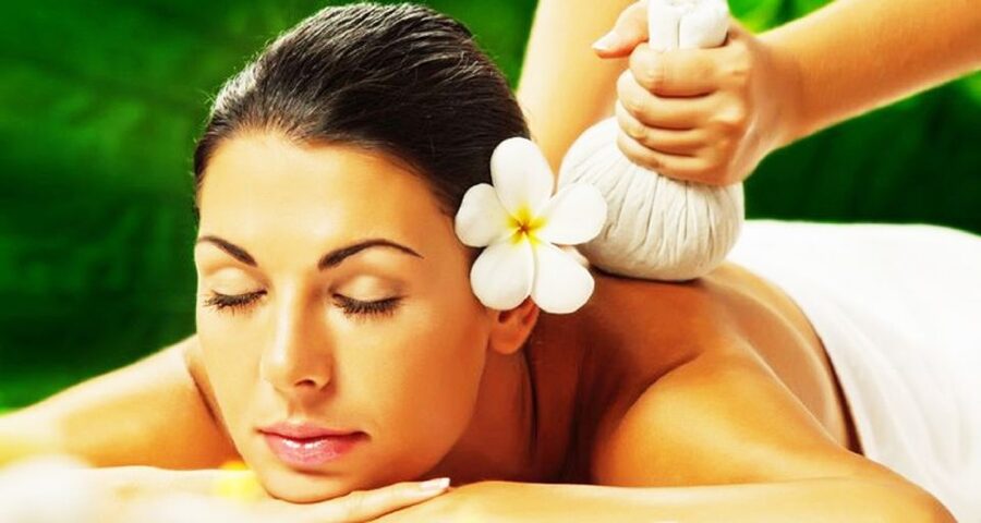 Nha Trang: Hot Spring and Mud Spa Package Half-Day Tour - What the guide adds to the day