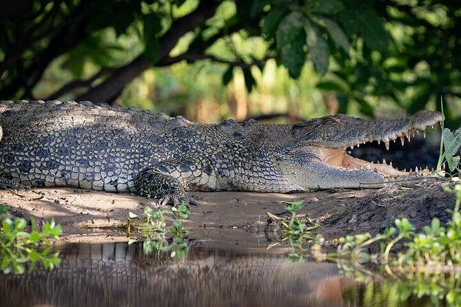 Nitmiluk National Park & Katherine Hot Springs - Full Day Tour - Why the two-gorge cruise is worth the long ride