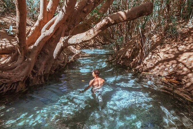Nitmiluk National Park & Katherine Hot Springs - Full Day Tour - What $429.63 includes, and what it does not