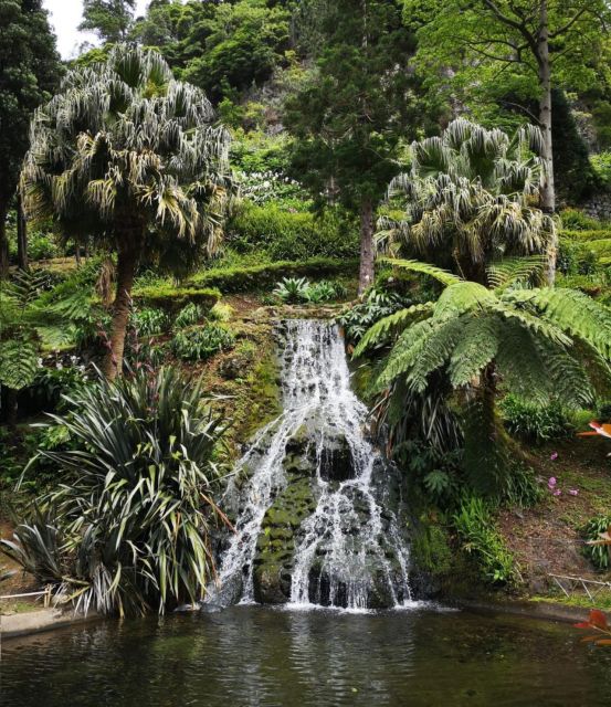 Nordeste: Waterfall, Hot Spring and Viewpoints Full-Day Tour - What to bring and how to prepare