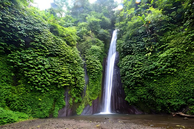 North Bali Tour - Visiting Rice Terrace, Lake, Waterfall, Temple and Hot Spring - Why north Bali works best as a private day trip