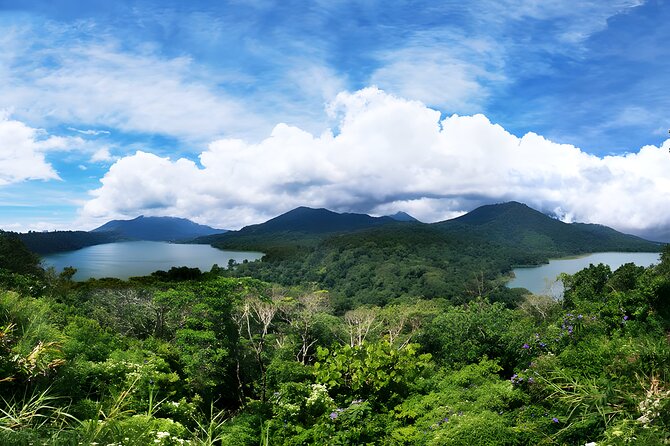 North Bali Tour - Visiting Rice Terrace, Lake, Waterfall, Temple and Hot Spring - Tamblingan Lake and the Bedugul mountain route
