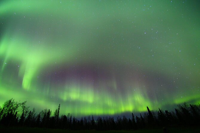 Northern Lights and Chena Hot Springs Night Tour from Fairbanks - How much value do you get for $240?