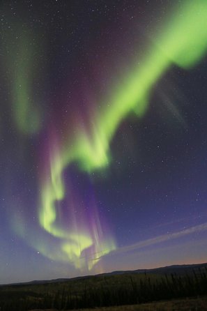 Northern Lights and Chena Hot Springs Night Tour from Fairbanks - Cold-weather planning that makes a big difference