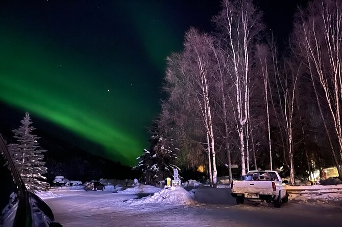 Northern Lights at Chena Hot Springs - Coffee, tea, and the Ice Museum choice