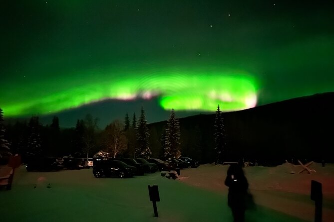 Northern Lights at Chena Hot Springs - Who will enjoy this Chena Hot Springs outing