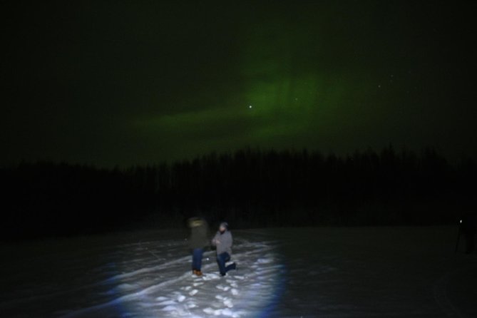 Northern Lights & Chena Hot Springs Tour - A long Alaska night with three very different stops