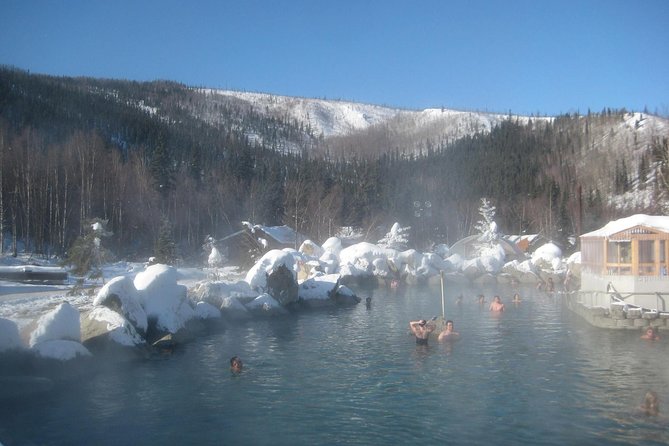 Northern Lights & Chena Hot Springs Tour - How the northern lights portion really works