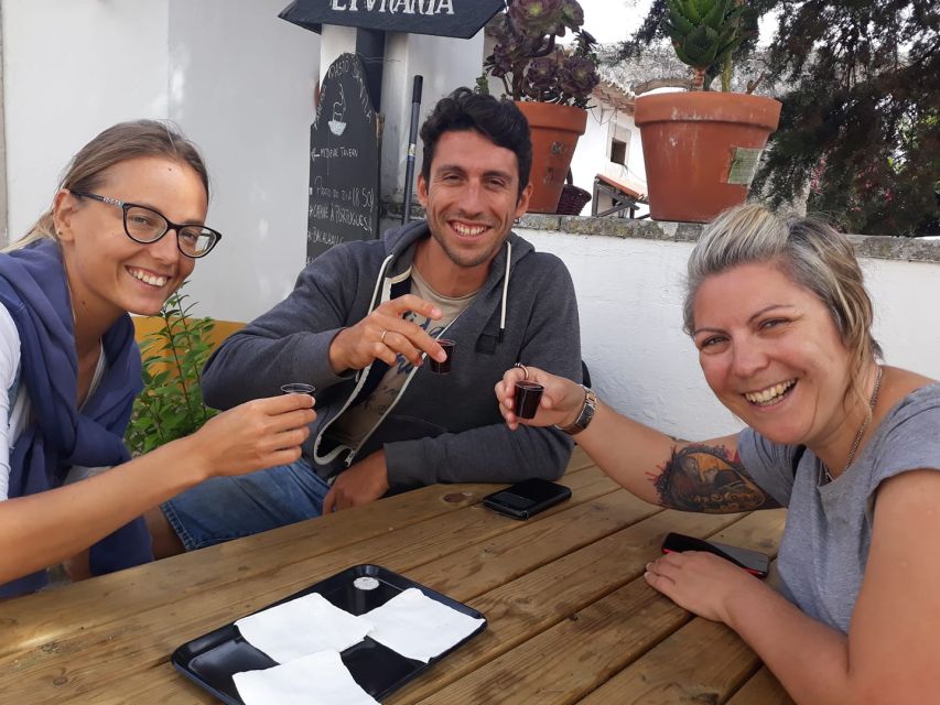 Óbidos and Caldas da Rainha Tour - Timing, heat, and walking comfort