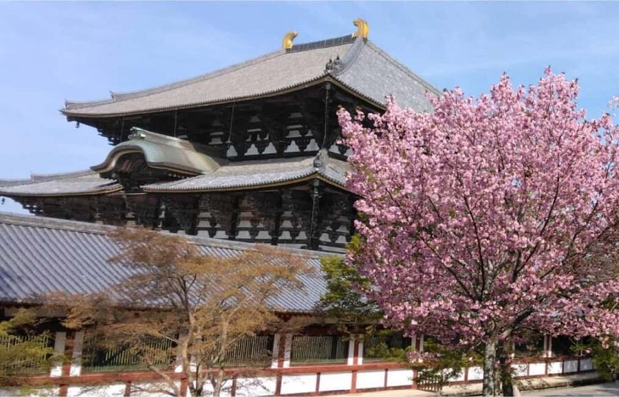 Osaka: Nara and Uji Day Trip with Deer Park and Hot Spring - Key points to know before booking