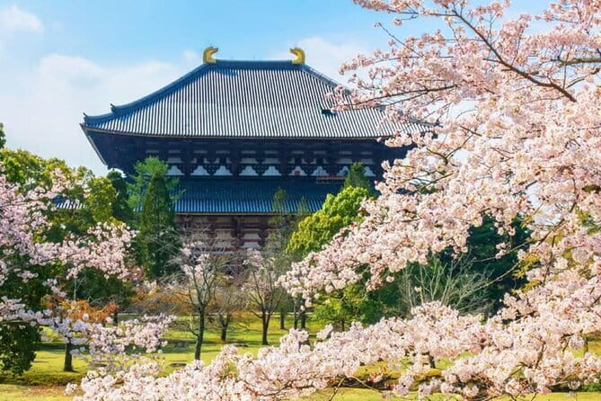 Osaka: Nara, Todaiji, Uji Matcha, and Hot Spring Tour - Entering Tōdai-ji and seeing the Great Buddha