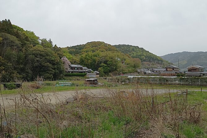 Osaka River Rapids Hike and Natural Hot Spring tour - The river stop and the optional waterfall