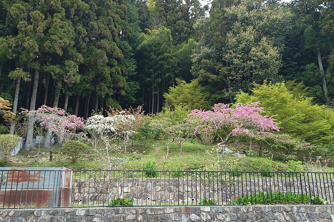 Osaka River Rapids Hike and Natural Hot Spring tour - A short break in Settsukyo Park
