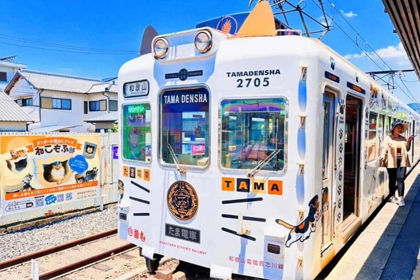 Osaka: Wakayama Cat Train, Seafood market, Hot Springs Tour - Key points to know before booking