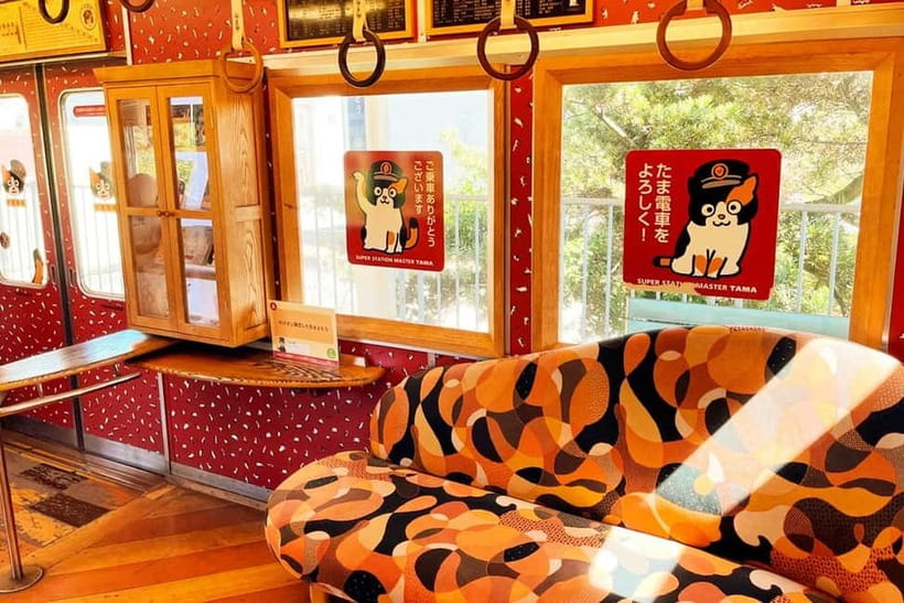 Osaka: Wakayama Cat Train, Seafood market, Hot Springs Tour - Why this Osaka day trip works