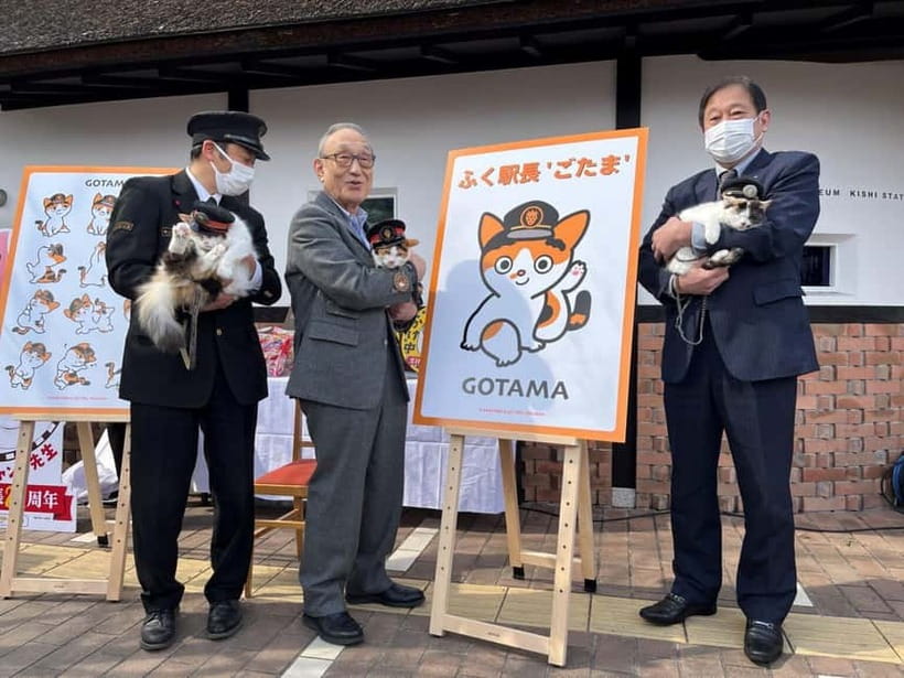 Osaka: Wakayama Cat Train, Seafood market, Hot Springs Tour - ToreTore Market and the tuna cutting show