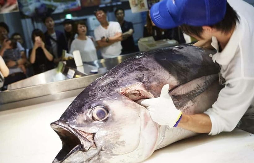 Osaka: Wakayama Cat Train, Seafood market, Hot Springs Tour - Senjojiki’s layered rock shelf