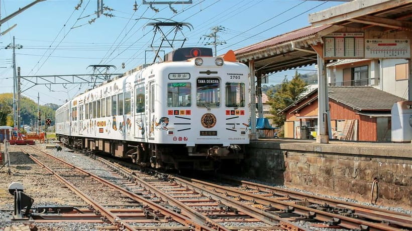 Osaka: Wakayama Cat Train, Seafood market, Hot Springs Tour - Meeting the cat at Kishi Station